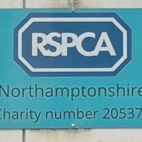 RSPCA in Rushden