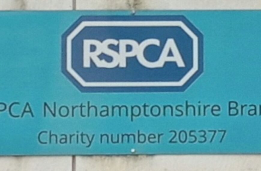 RSPCA in Rushden