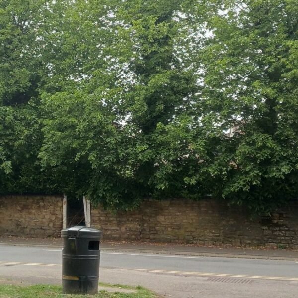 Special School in Rushden