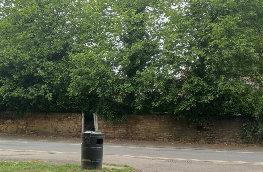 Special School in Rushden