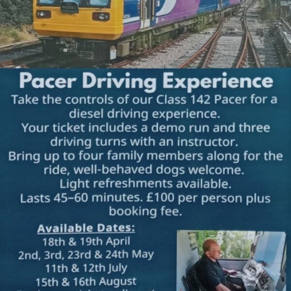 Pacer Driving experience