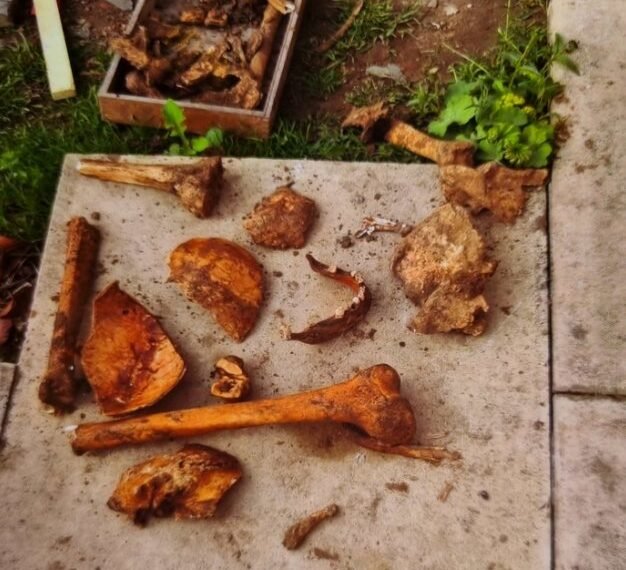 Higham’s Secret Gardens