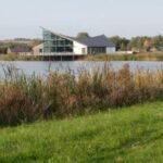 Wild Flowers at Stanwick Lakes
