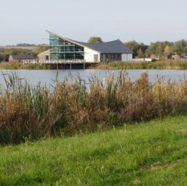 Wild Flowers at Stanwick Lakes