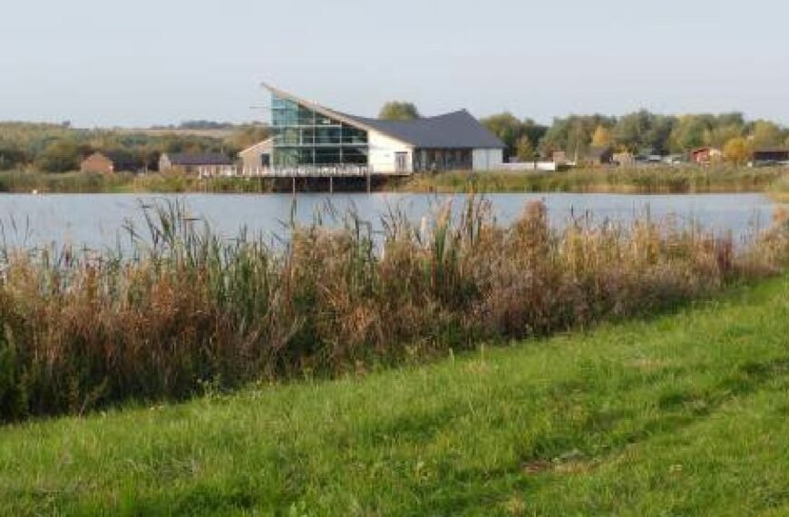 Wild Flowers at Stanwick Lakes