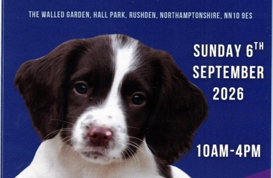 Bark in the Park