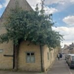 Higham’s Pear Tree