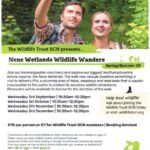 Nene Wetlands Wildlife Wanders