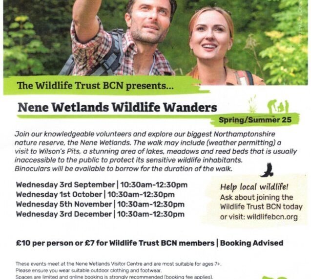 Nene Wetlands Wildlife Wanders